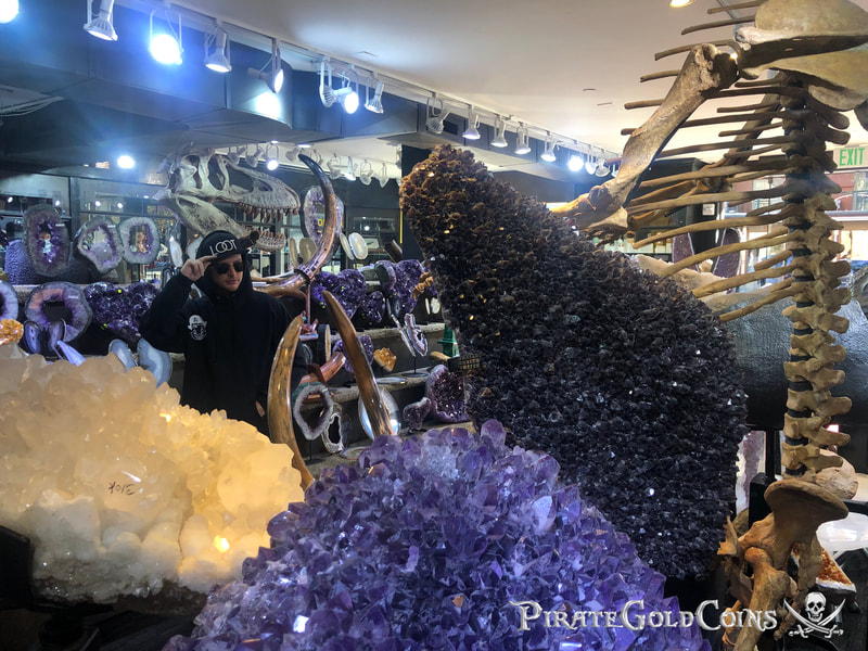 Replica T-Rex Skull | Dinosaur Bones 15