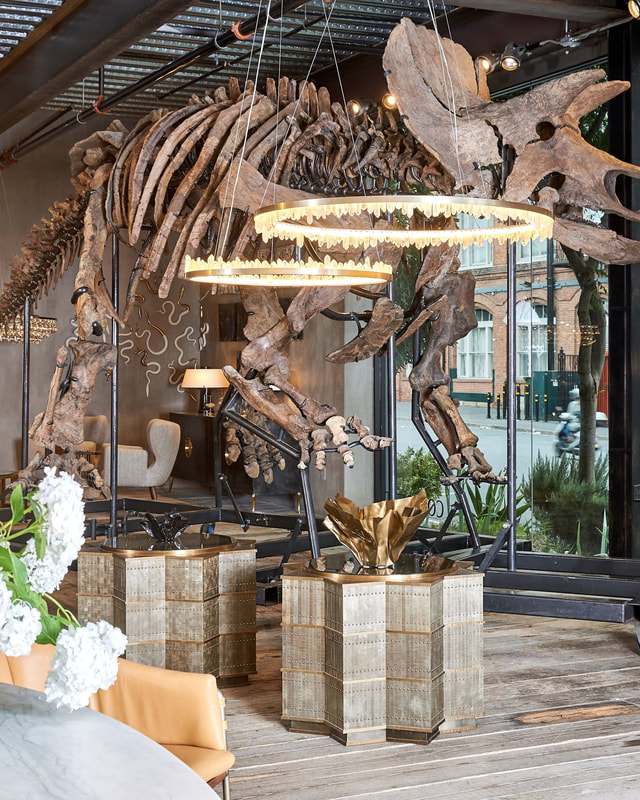 Triceratops Skeleton | Dinosaur Bones 3