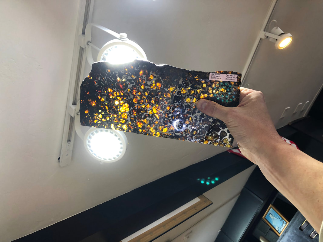 Pirate Gold Coins Treasures of Space: Meteorite Slice Pallasite