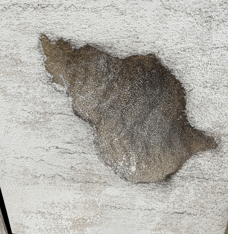 Miquel Barcelo 'Corn-Ase' 7