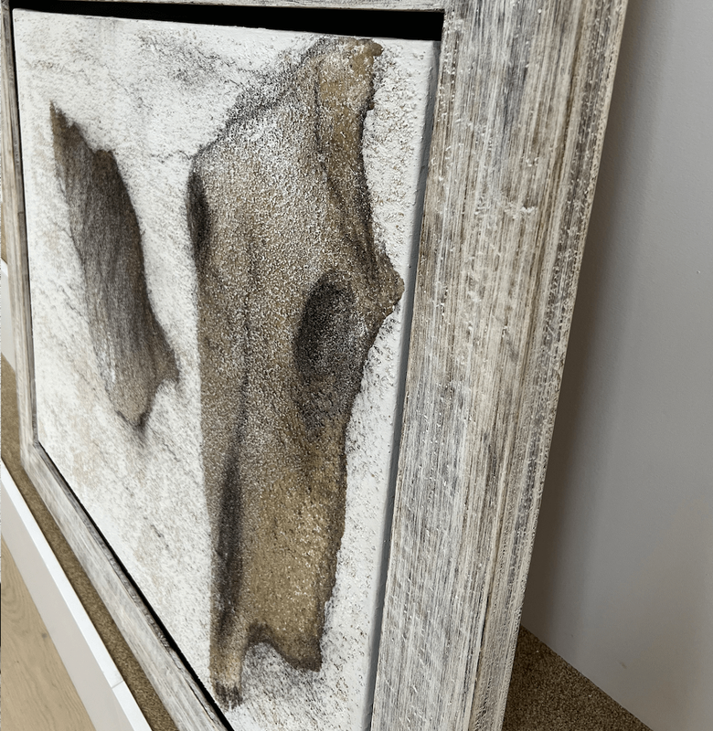 Miquel Barcelo 'Corn-Ase' 8