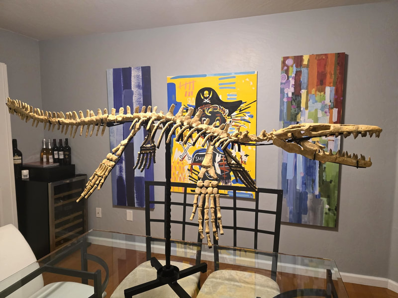 Mosasaur Display