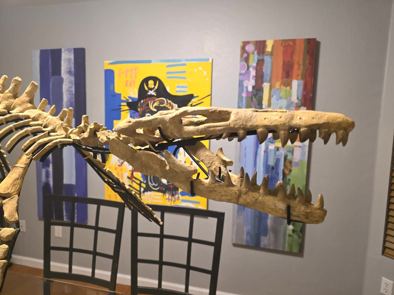Mosasaur Display 2
