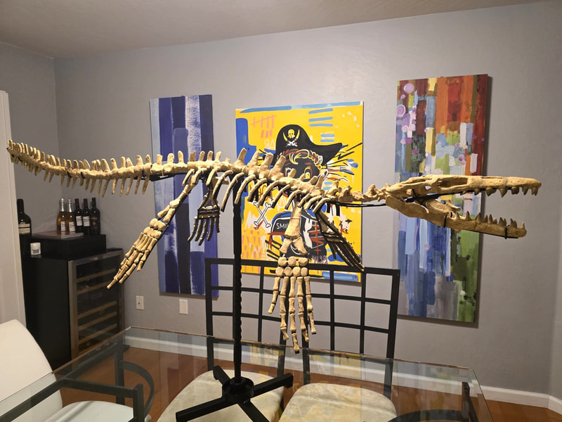 Mosasaur Display 5