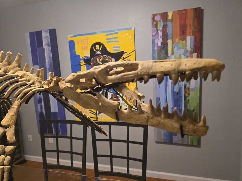 Mosasaur Display 6