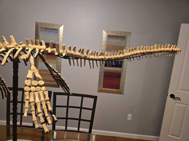 Mosasaur Display 11