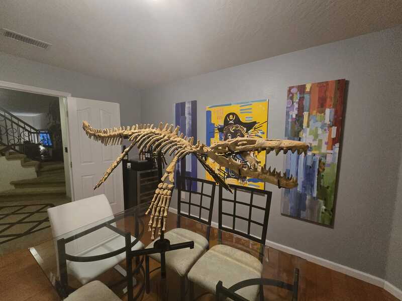 Mosasaur Display 14