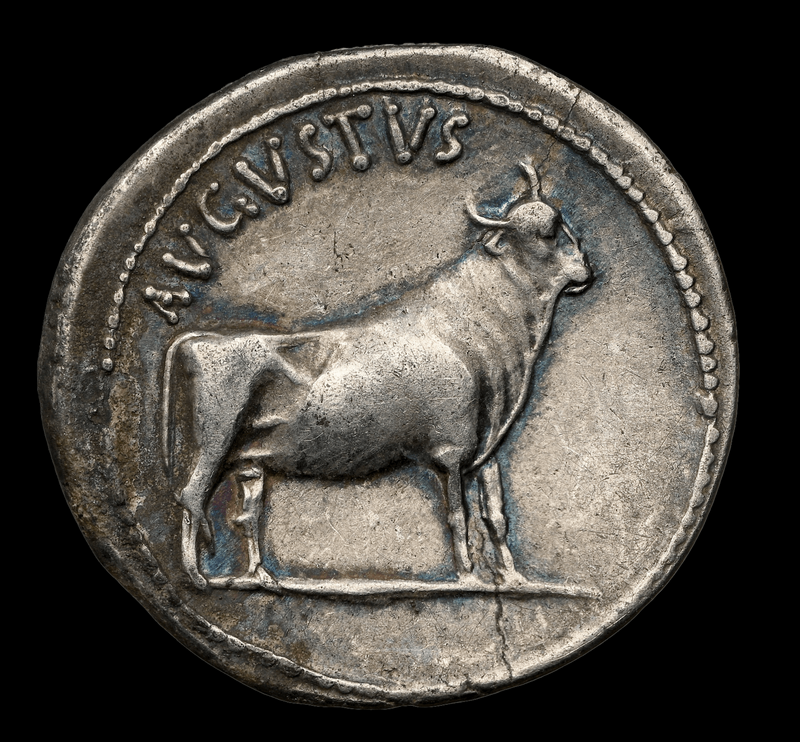 Roman Empire "Augustus" 27-14AD Denarius NGC Ch VF 5x3 6