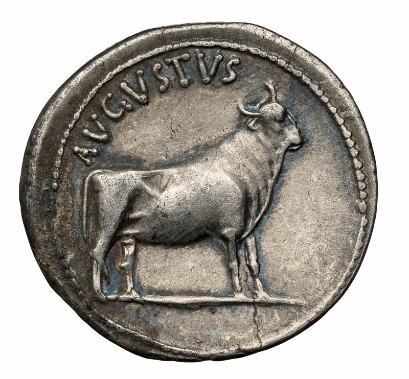 Roman Empire "Augustus" 27-14AD Denarius NGC Ch VF 5x3 7