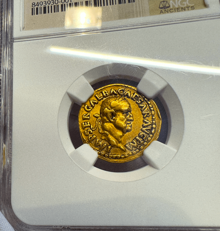 Roman Empire "Galba - Boscoreale Toning" NGC VF 5x2 22