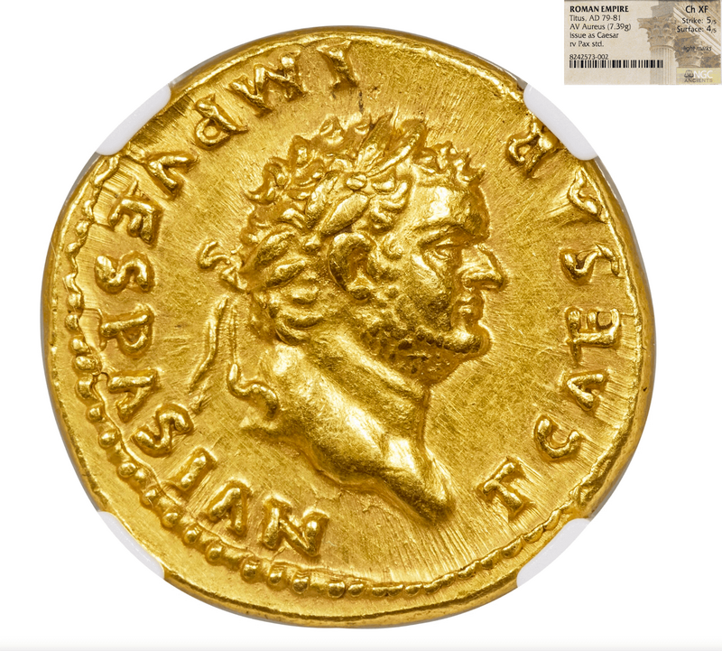 Roman Empire "Titus" NGC XF 5x4 12