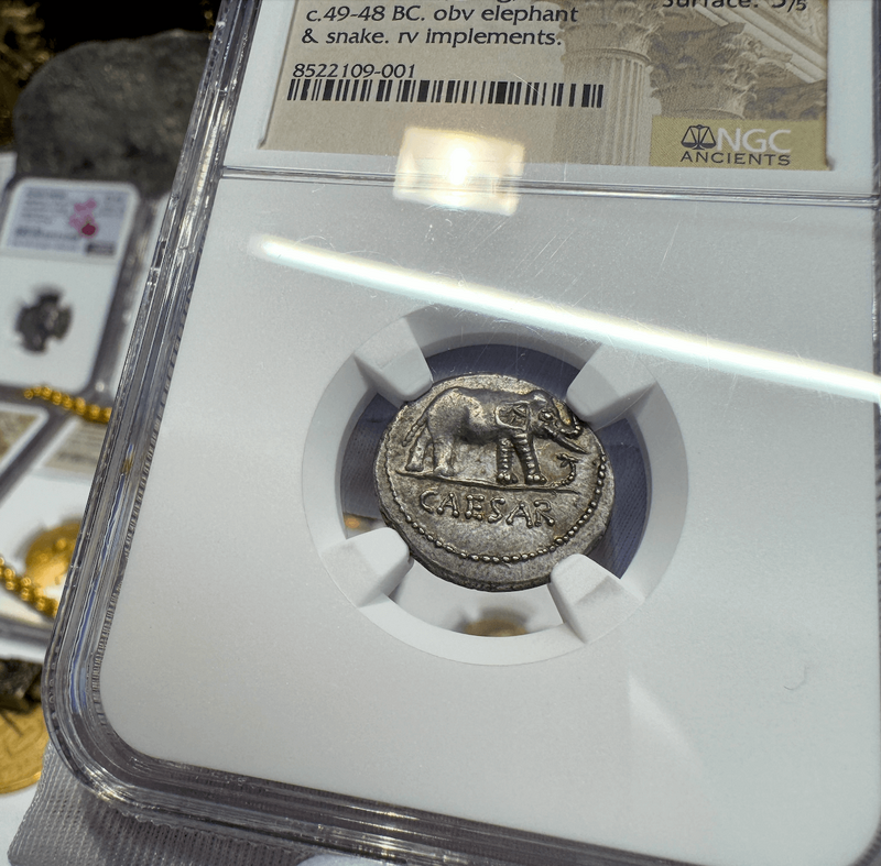 Roman Imperatorial "Caesar- Elephant" 43BC NGC AU 4x5 2