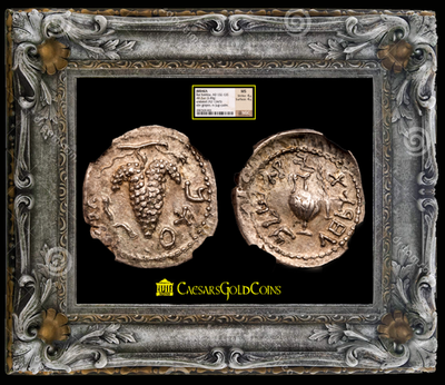 JUDAEA BAR KOKHBA 132-135AD ZUZ "GRAPES- JEWISH REVOLT"   ~ NGC MS 4x4 ~ 2