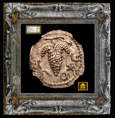 JUDAEA BAR KOKHBA 132-135AD ZUZ "GRAPES- JEWISH REVOLT"   ~ NGC MS 4x4 ~ 3