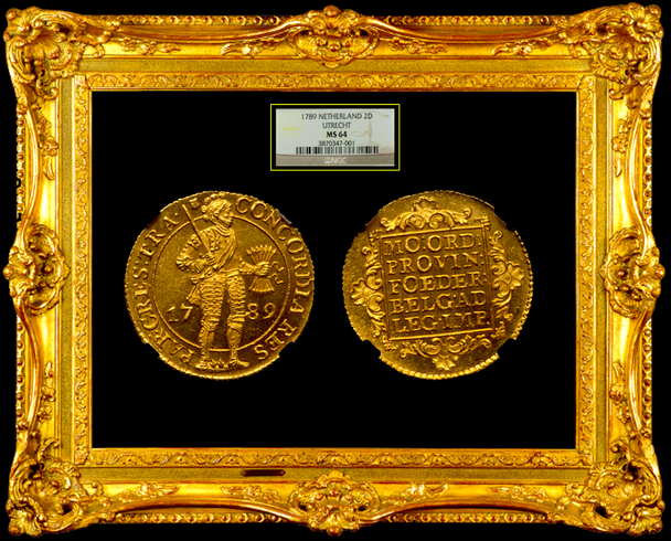 Netherlands | World Gold 3