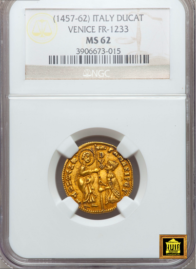 Italy | World Gold 7