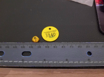 Atocha 1622 Gold Bead Artifact with Mel Fisher Treasure Salvors COA 3