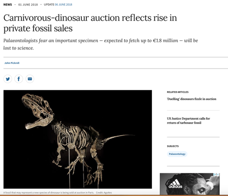 Frog Fossil | Dinosaur Bones 5