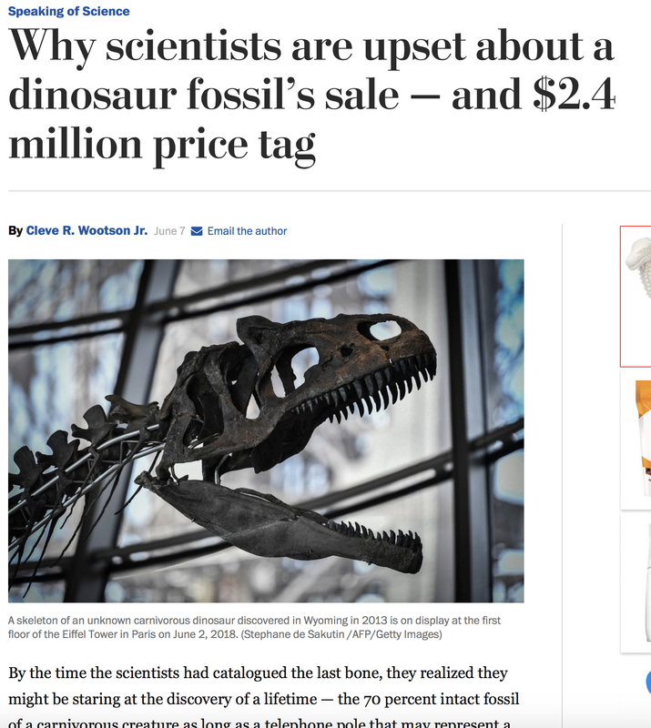 Trilobite Display | Dinosaur Bones 6