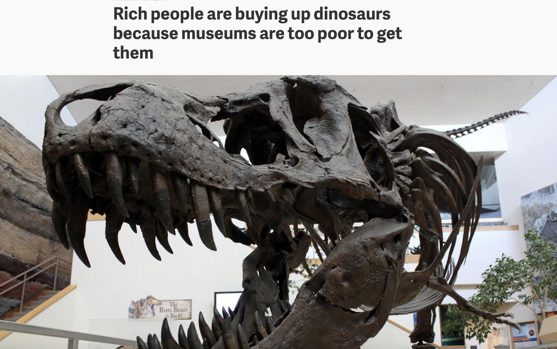 Pirate Gold Coins: Treasures of the Jurassic - Oreodont Skull in Matrix 13