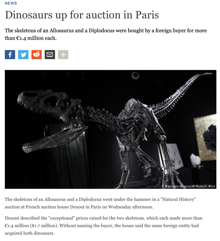 Pirate Gold Coins: Treasures of the Jurassic - Amphibian from Germany 7