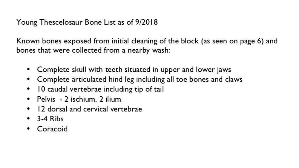 Pirate Gold Coins: Treasures of the Jurassic - Thescelosaurus 3