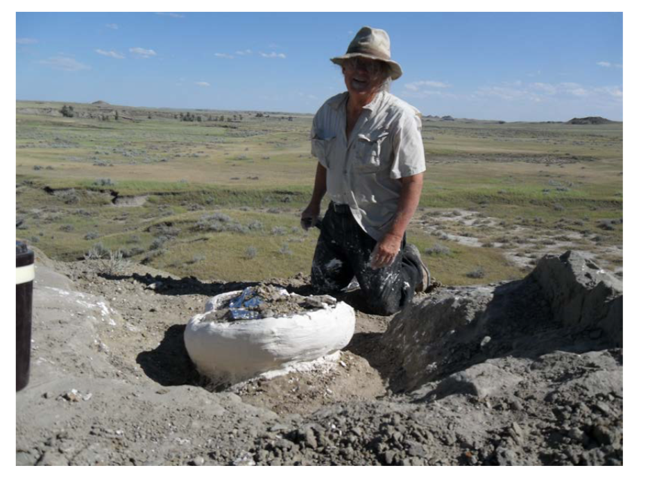 Pirate Gold Coins: Treasures of the Jurassic - Thescelosaurus 11