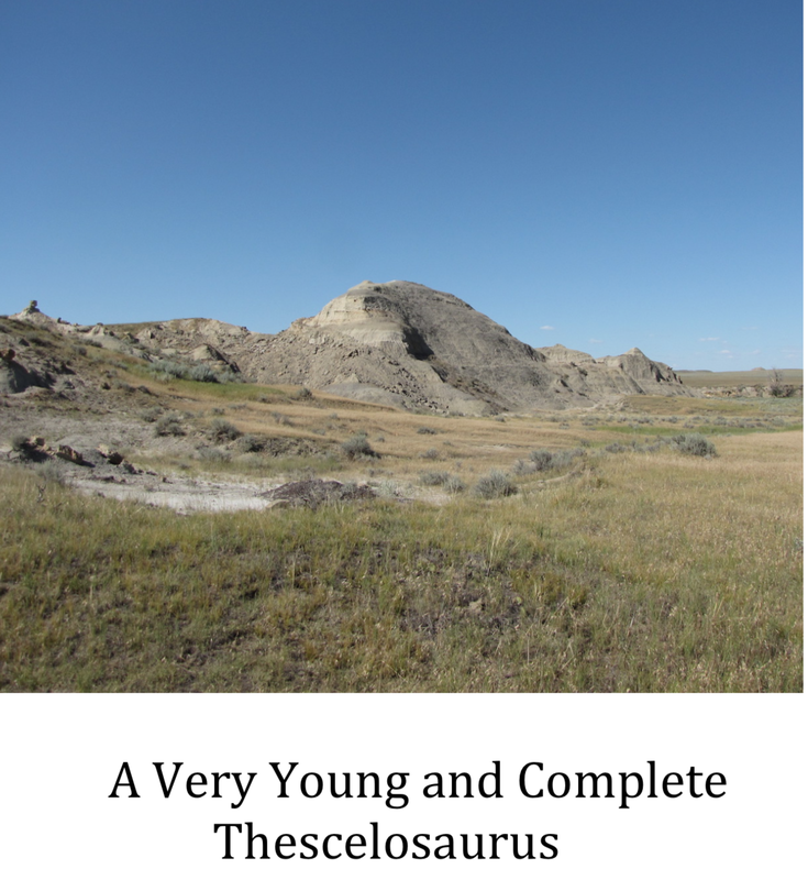 Pirate Gold Coins: Treasures of the Jurassic - Thescelosaurus 16