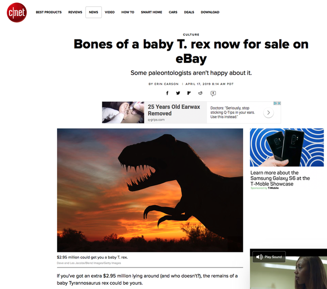 CNET - Baby T-Rex for Sale