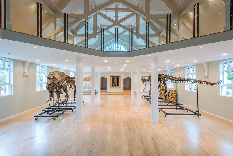 Triceratops Skeleton | Dinosaur Bones 14